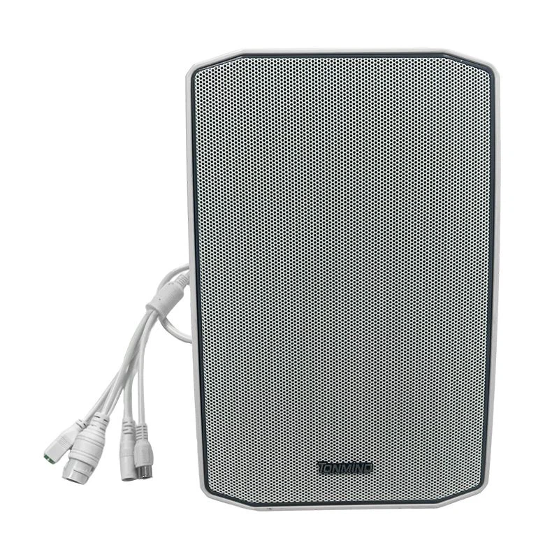 PoE IP Speaker
