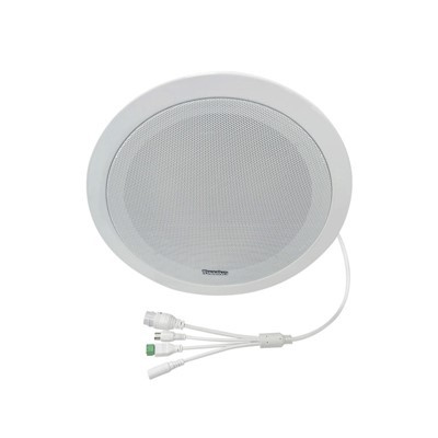 Network Ceiling Speaker
